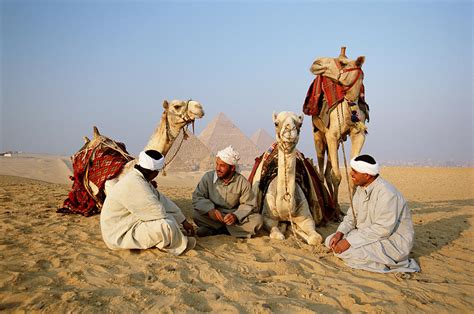  Gharib The Camel Driver: A Journey Through Egyptian Folklore Exploring Themes of Humility and Greed